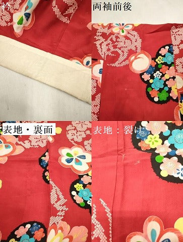 平和屋着物[]アンティーク　大正ロマン　女の子　子供　長襦袢　単衣　橘花丸文　DABH5411ea
