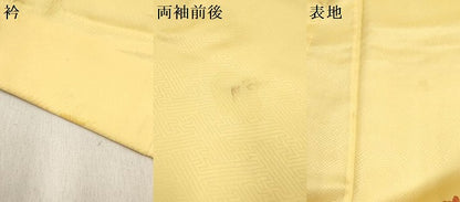 平和屋着物[]七五三　女の子　７歳　祝着　四つ身　牡丹鈴花蝶文　金彩　逸品　DABH5460ea