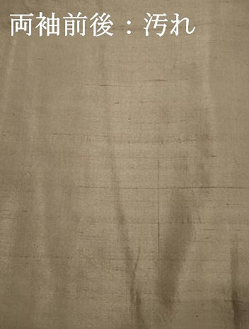 平和屋着物■男性　紬　空五倍子色　正絹　逸品　DABH5546ya