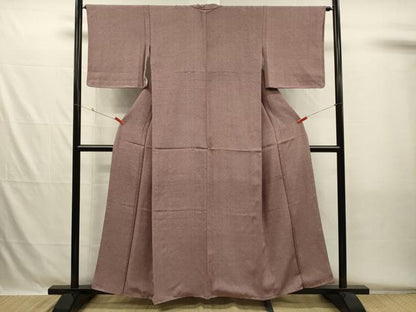 平和屋着物■江戸小紋　雪月花　正絹　逸品　DABH5561ya