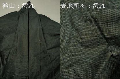 平和屋着物■男性　本場大島紬　100亀甲　総詰め　正絹　逸品　DABH5672ya