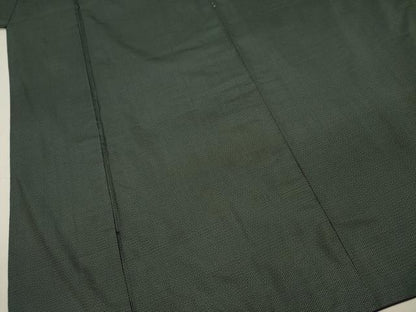平和屋着物■男性　本場大島紬　100亀甲　総詰め　正絹　逸品　DABH5672ya