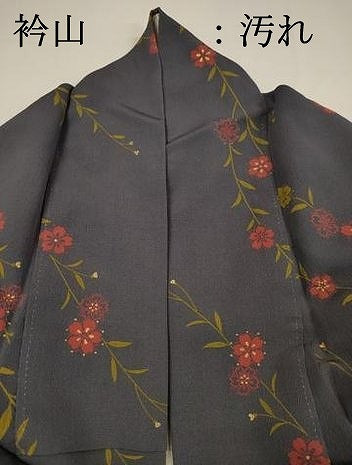 平和屋着物■上質な小紋　枝桜文　金彩　正絹　逸品　DABH5679ya