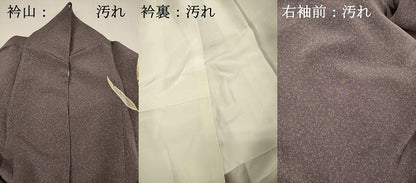 平和屋着物■訪問着　駒刺繍　舞羽文　金彩　正絹　逸品　DABH5727ya