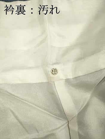 平和屋着物■江戸小紋　作家物　鮫小紋柄　正絹　逸品　DABH5733ya
