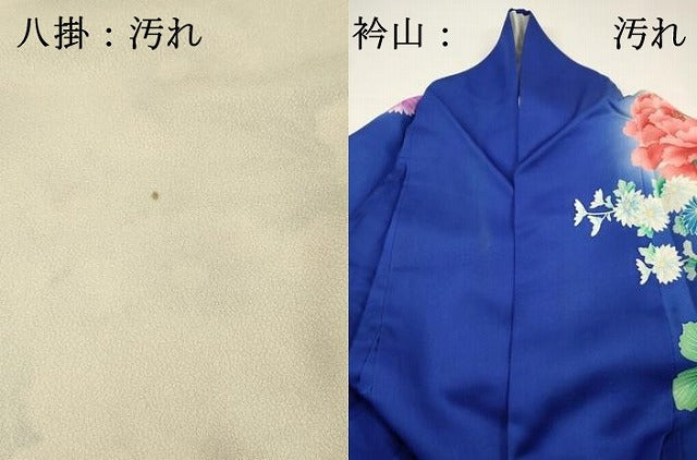 平和屋着物■豪華振袖　花車文　牡丹　乱菊　暈し染め　金彩　正絹　逸品　DABH5772ya