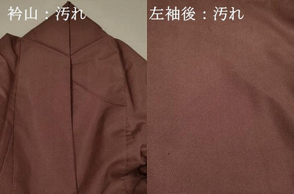 平和屋着物■本場染大島紬　江戸小紋　訪問着　流水花文　正絹　逸品　DABH5815ya