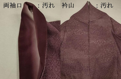 平和屋着物■江戸小紋　吉祥小紋柄　正絹　逸品　DABH5816ya