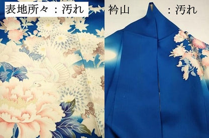 平和屋着物■豪華振袖　刺繍　飛鳥花文　牡丹　暈し染め　正絹　逸品　DABH5819ya