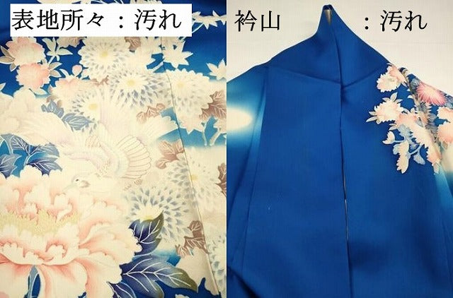 平和屋着物■豪華振袖　刺繍　飛鳥花文　牡丹　暈し染め　正絹　逸品　DABH5819ya