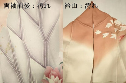 平和屋着物■豪華振袖　花蝶文　暈し染め　金銀彩　正絹　逸品　DABH5823ya