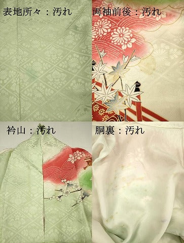 平和屋着物■豪華振袖　渡橋花文　枝梅　暈し染め　金彩　正絹　逸品　DABH5825ya