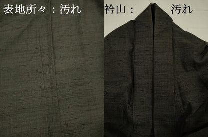 平和屋着物■男性　紬　霞文　正絹　逸品　DABH5985ya