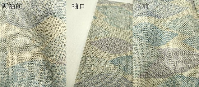 平和屋着物▽本塩沢　単衣　霞文　正絹　逸品　DABH6273az