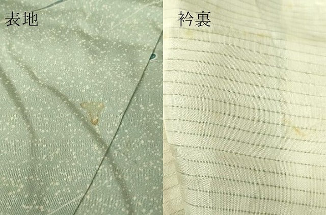 平和屋着物▽上質な小紋　単衣　枝花文　暈し染め　正絹　逸品　DABH6572az