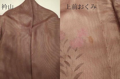 平和屋着物▽訪問着　無双　紗袷　紗×絽　桔梗文　銀彩　正絹　逸品　DABH6587az