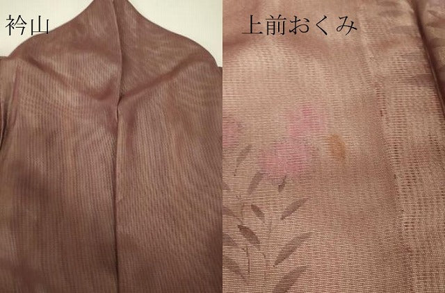 平和屋着物▽訪問着　無双　紗袷　紗×絽　桔梗文　銀彩　正絹　逸品　DABH6587az