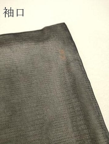平和屋着物▽訪問着　無双　紗袷　紗×絽　名所風景文　手描き　正絹　逸品　DABH6811az