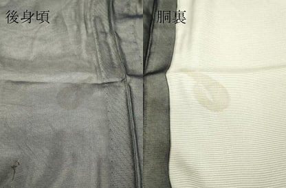 平和屋着物▽訪問着　無双　紗袷　紗×絽　舞蝶枝花文　正絹　逸品　DABH6813az