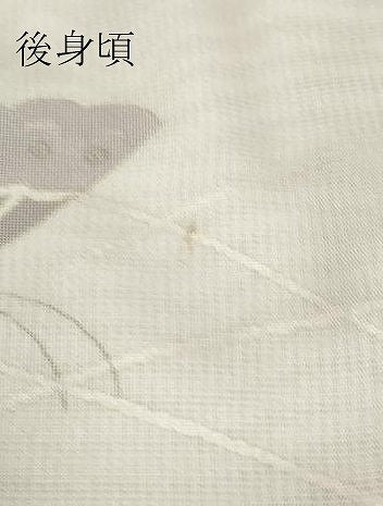 平和屋着物▽訪問着　無双　紗袷　紗×絽　舞蝶文　金彩　正絹　逸品　DABH6817az