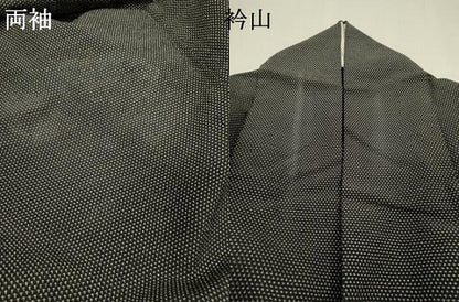 平和屋着物▽本塩沢　単衣　蚊絣　黒地　ロング丈　正絹　逸品　DABH7344fe