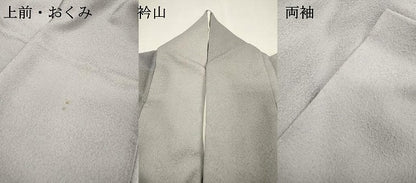 平和屋着物▼上質な小紋　作家物　霞文　暈し染　正絹　逸品　DABH7609fe