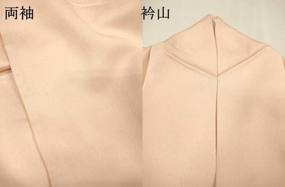 平和屋着物▼訪問着　手描き　枝花　暈し染　正絹　逸品　DABH7706fe