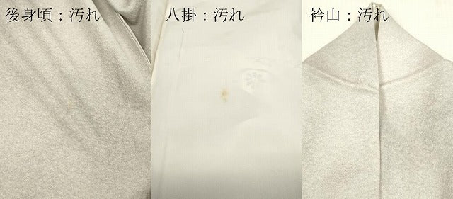 平和屋着物■訪問着　花鳥文　暈し染め　金彩　そごう扱い　正絹　逸品　DABH8255zy