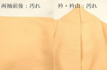 平和屋着物■無地絵羽訪問着　枝椿地紋　萱草色　正絹　逸品　DABH8270zy