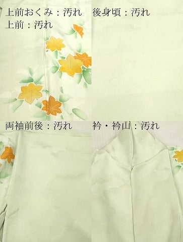 平和屋着物■訪問着　草花文　金彩　正絹　逸品　DABH8271zy