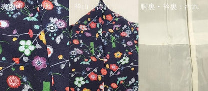 平和屋着物■上質な小紋　枝花文　鬼しぼ縮緬　正絹　逸品　DABH8273zy