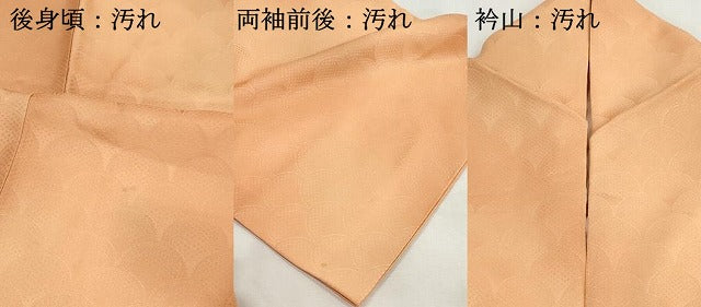 平和屋着物■上質な小紋　青海波地紋　暈し染め　正絹　逸品　DABH8602qa