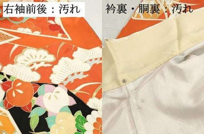 平和屋着物■豪華振袖　駒刺繍　花車文　牡丹　金彩　正絹　逸品　DABH8668qa