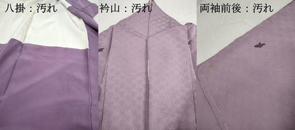 平和屋着物■訪問着　手描き　刺繍　飛鳥文　松　銀糸　正絹　逸品　DABH8696qa