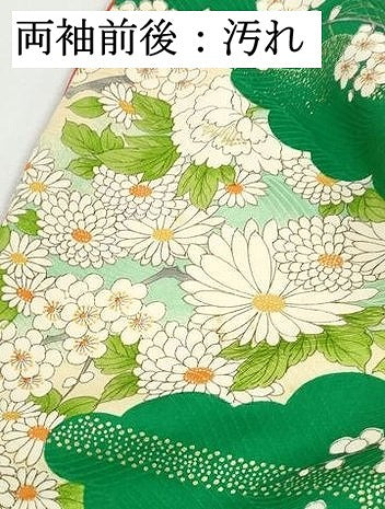 平和屋着物■豪華振袖　雲取り花文　金彩　正絹　逸品　DABH8849qa