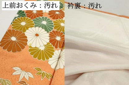 平和屋着物■訪問着　刺繍　地紙笹花文　金彩　正絹　逸品　DABH8858qa