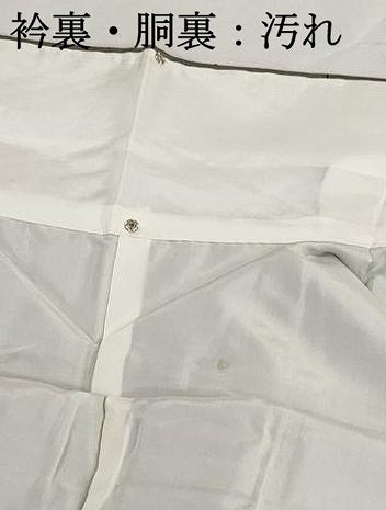 平和屋着物■上質な紬　枝椿文　正絹　逸品　DABH8896qa