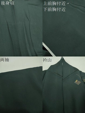 平和屋着物●訪問着　抽象文様　金彩　正絹　逸品　DABH9087ps