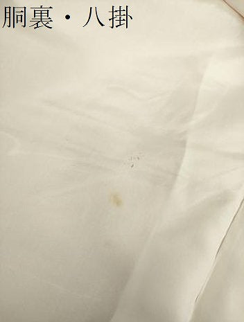 平和屋着物●上質な小紋　地紋起こし　霞文　暈し染め　正絹　逸品　DABH9109ps