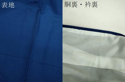 平和屋着物●豪華振袖　舞桜　暈し染め　金彩　正絹　逸品　DABH9134ps