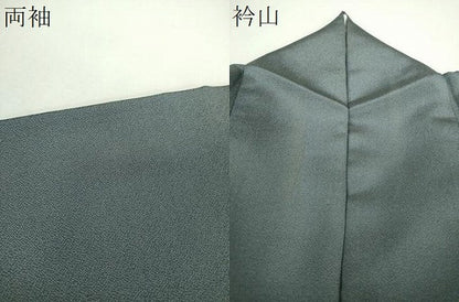 平和屋着物●訪問着　お召地　孔雀更紗花文　正絹　逸品　DABH9191ps