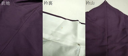 平和屋着物●豪華振袖　作家物　寿光織　草花文　暈し染め　金銀糸　正絹　逸品　DABH9207ps