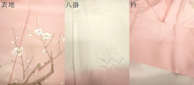 平和屋着物●訪問着　手描き　枝花文　暈し染め　ロング丈　正絹　逸品　DABH9735ps