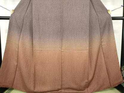 平和屋着物●訪問着　霞文　暈し染め　正絹　逸品　DABH9745ps