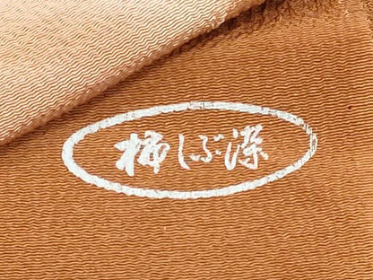 平和屋着物★和装小物　帯揚げ10枚セット　丹後ちりめん　正絹　逸品　DABI0065xg