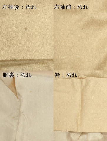 平和屋着物■訪問着　友禅　草花文　正絹　逸品　DABI0535cd