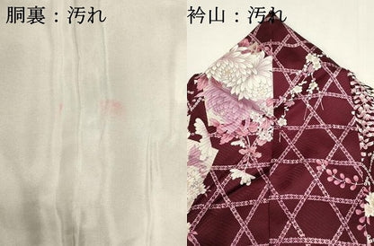平和屋着物■上質な小紋　藤花房　枝梅　金彩　正絹　逸品　DABI0542cd