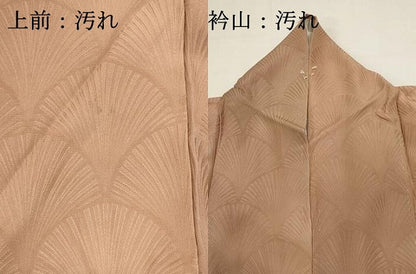 平和屋着物■上質な小紋　青海波地紋　暈し染め　正絹　逸品　DABI0547cd