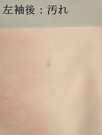 平和屋着物■長襦袢　無双仕立て　枝花文　暈し染め　洗える着物　DABI0579cd