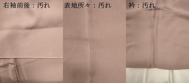 平和屋着物■豪華色留袖　人物風景文　暈し染め　金彩　正絹　逸品　DABI0586cd